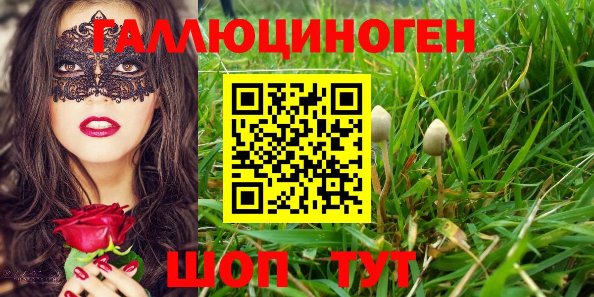 Псилоцибиновые грибы мухоморы Норильск