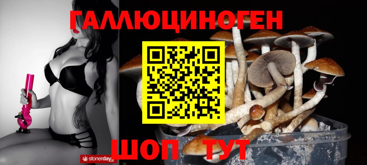 Псилоцибиновые грибы прущие грибы  Вход с VPN  Норильск 